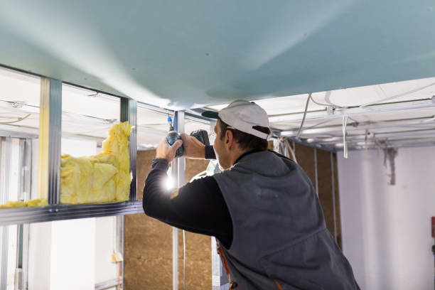 Best DIY Insulation Kits and Guidance in Clemson, SC